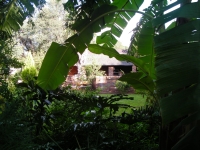 Mommy's Guest House - Toilet